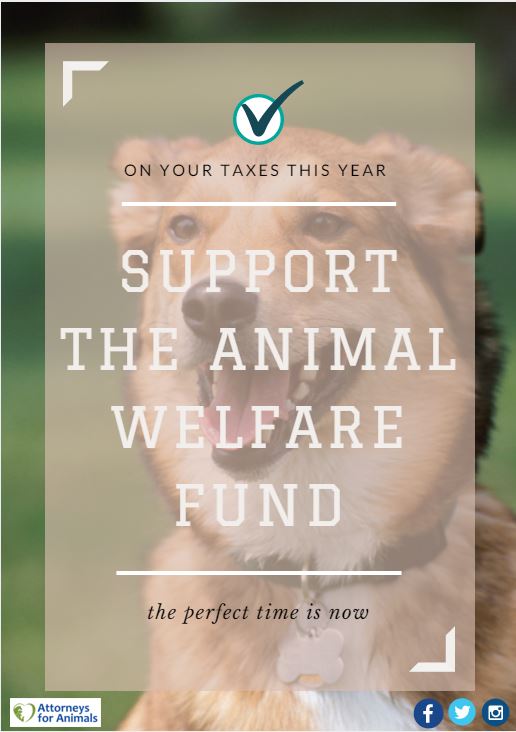 Animal Welfare Fund